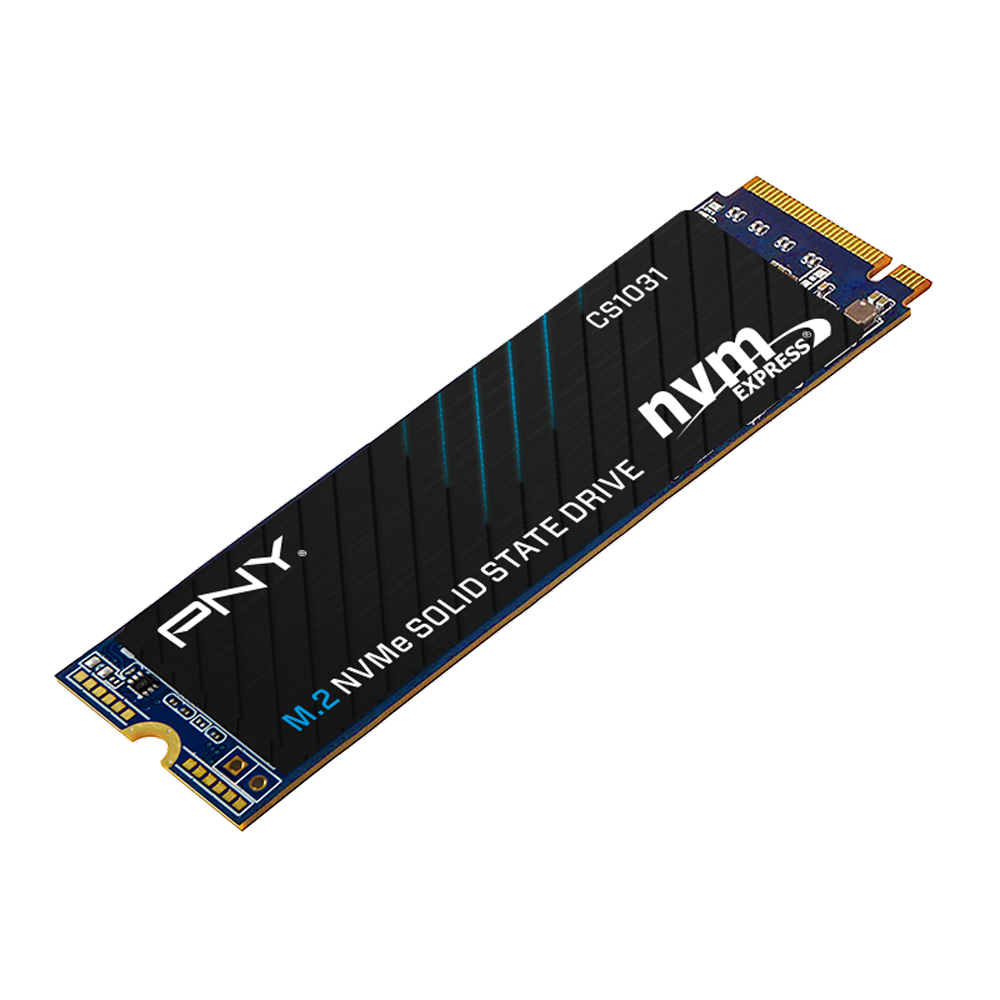 PNY CS1031 Gen3 M.2 NVMe ���̾���