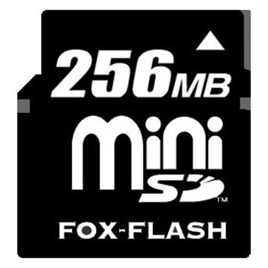 FOX-FLASH mini SD (256MB)_이미지