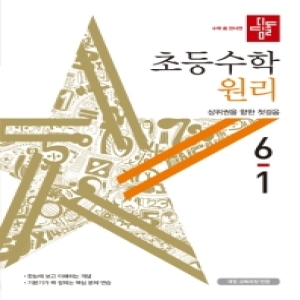 디딤돌 2020 초등수학 원리 6-1