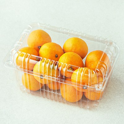 곰곰 당도선별 10brix 한입 감귤