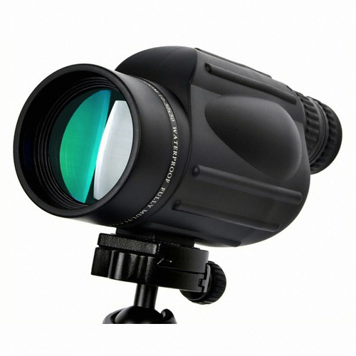 21세기 10-30x50_이미지