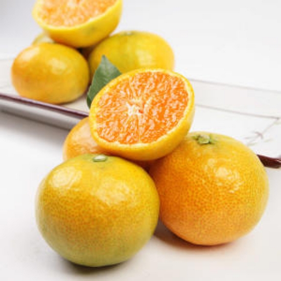 오롯제주 제주발송 하우스 감귤 프리미엄과 1.5kg (1개)_이미지