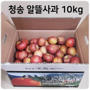 청송사과 10kg 알뜰흠집 대중소 혼합과 산지직송 25년 햇사과