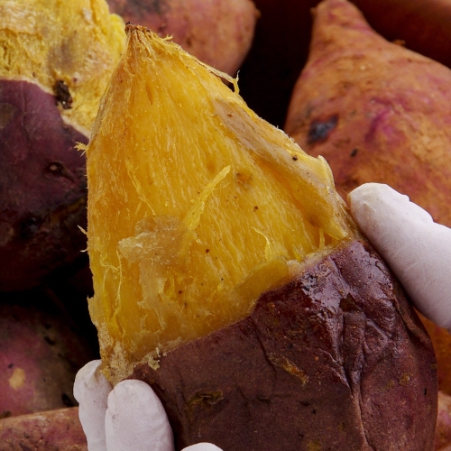 �س���������������ȸ �������� �ܰ����� 1�ڽ� 10kg Ư��