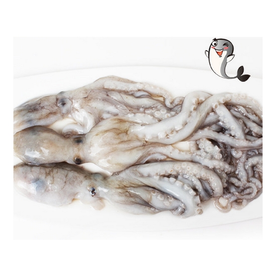 ����Ǫ�� �õ� Ȱ���� 7~8��(����) 850g