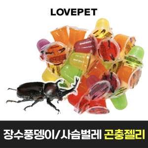 곤충젤리 100개_이미지