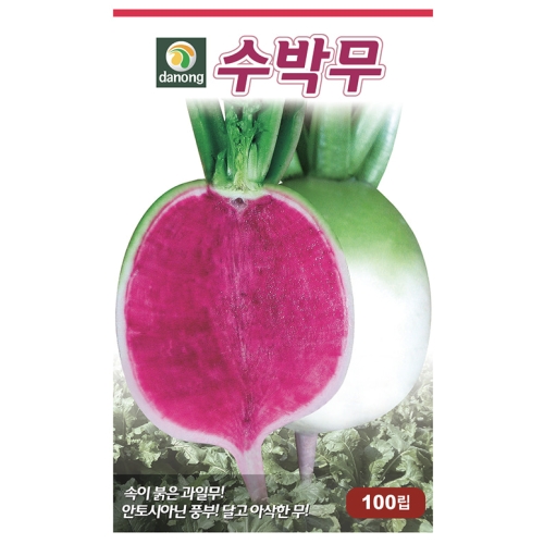 다농 수박무 씨앗 100립 1개 수박무 씨앗_이미지