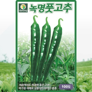 녹명 풋고추 씨앗 풋고추 씨 종자 100립