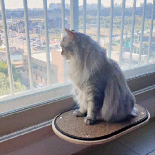 펫502 타원 창문캣타워_이미지