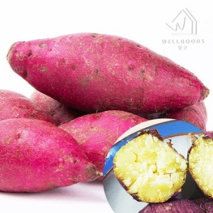 웰굿 퍽퍽한 진율미 밤고구마 3kg 특,개당250-350g