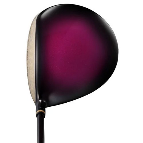 ����� ������Ƽ �ξ� ������ ����̹�