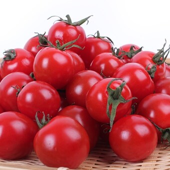 팜쿡 스테비아 <b>방울</b><b>토마토</b>