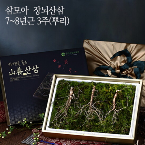 삼모아농장 삼모아 장뇌산삼 7~8년근 3뿌리 (1개)