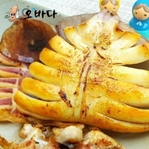 오바다푸드  반건조 오징어 10미 1kg