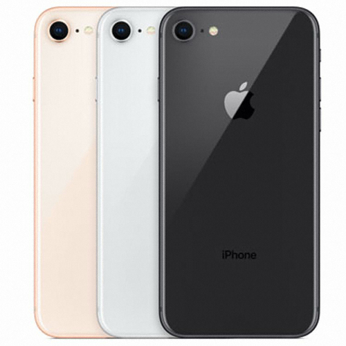 APPLE ������8 LTE 256GB, �ڱ���