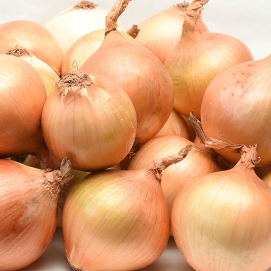 친환경팔도 무안 양파 중 5kg (1개)_이미지
