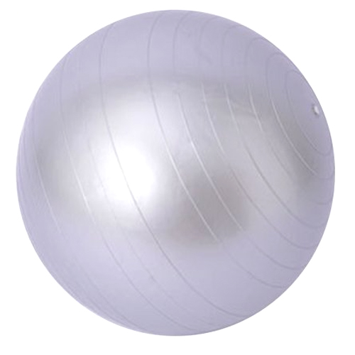 잡잡 안티버스트 짐볼 (55cm)_이미지