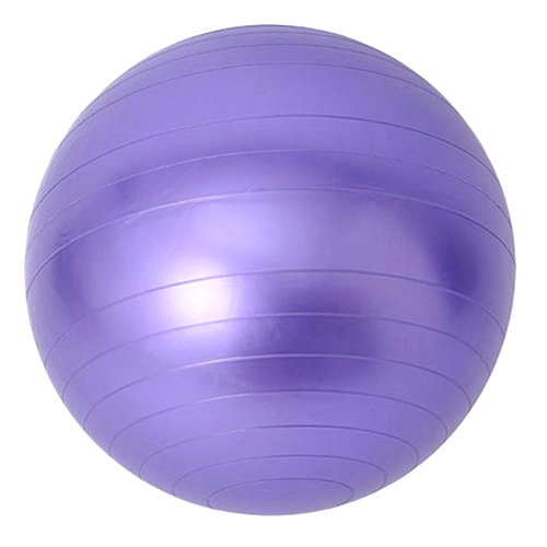 잡잡 안티버스트 짐볼 (55cm)_이미지