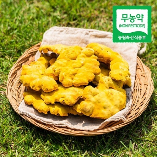 웰굿 무농약 장수 상황버섯 실속형 500g (1개)