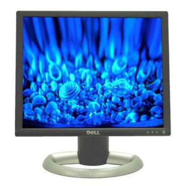 DELL DELL 1901FP_이미지
