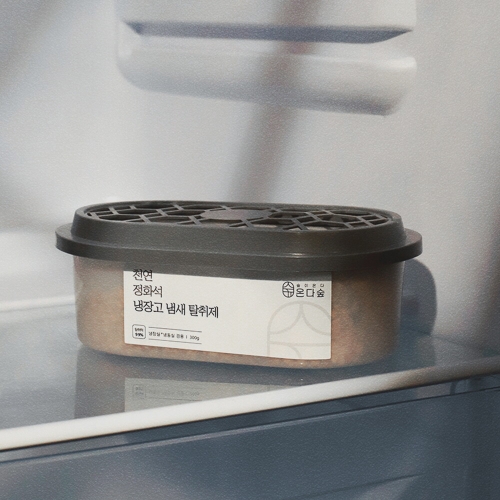 온다숲 천연 냉장고 탈취제 300g (8개)