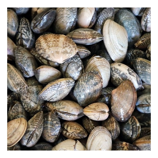 하전바지락 고창 하전갯벌 참 바지락 3kg이미지입니다. 누르면 해당 게시물로 새창이동합니다.