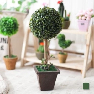 �ö��Ʈ�� �̴Ϲڽ�������Ǿ 47cm.