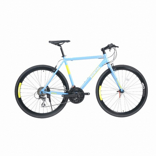 ���潺���� RCT ��Ż (2019����)