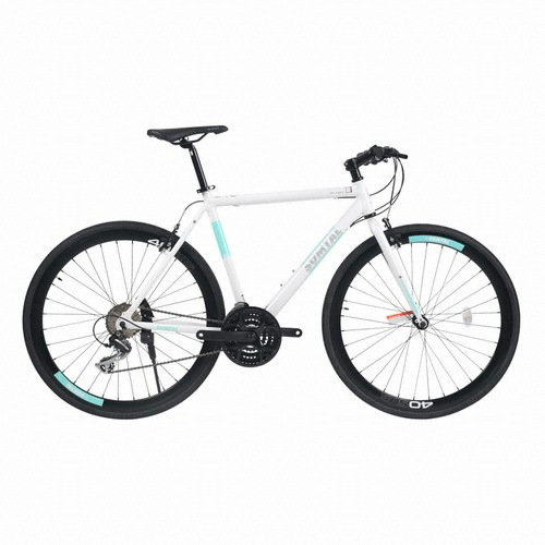 ���潺���� RCT ��Ż (2019����)