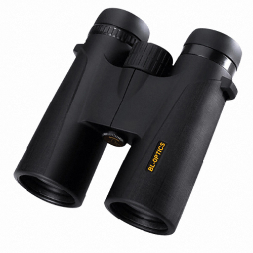 �ٸ����� BL1242