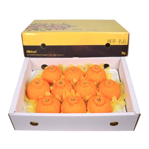 삼다몰 제주 한라봉 중과 11~13과 3kg (1개)_이미지