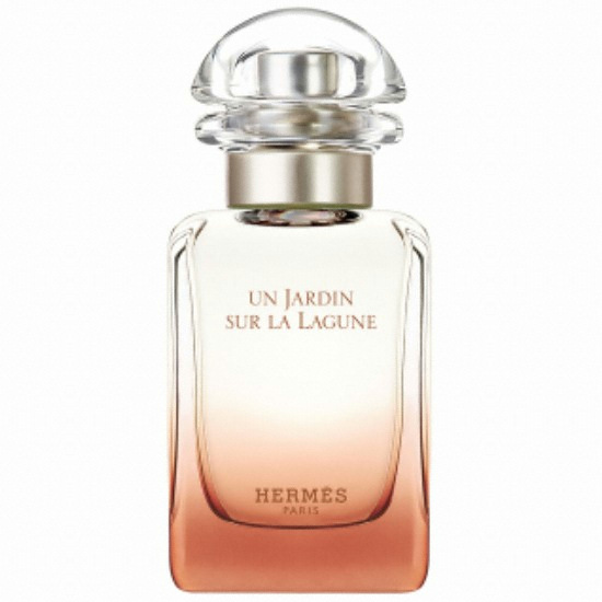 에르메스 운 자르뎅 수르 라 라군 EDT (30ml)_이미지