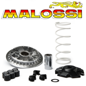 ���ν� 2021 ���� NMAX 125 ��Ƽ��2000 ����Ǯ����Ʈ ������ MALOSSI 5119095