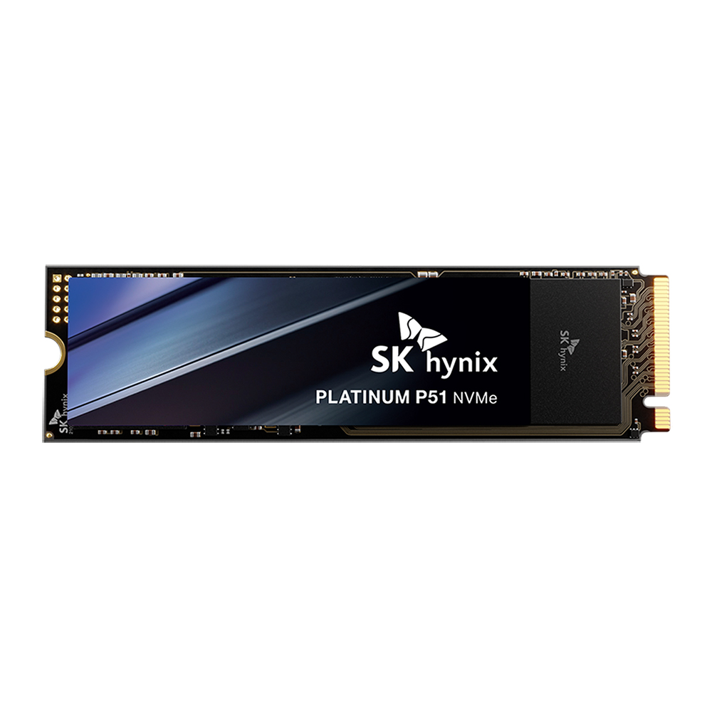 Platinum P51 M.2 NVMe 중고