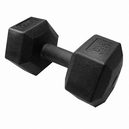 이고진 블랙 육각 아령 세트 (8kg, 2개)