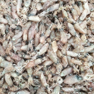 자갈치푸드 쫄깃한 국산 마른 꼴뚜기 1kg 꼴뚜기 반찬