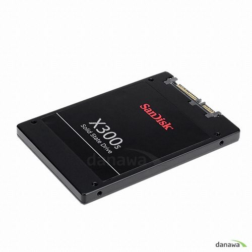 Sandisk X300s