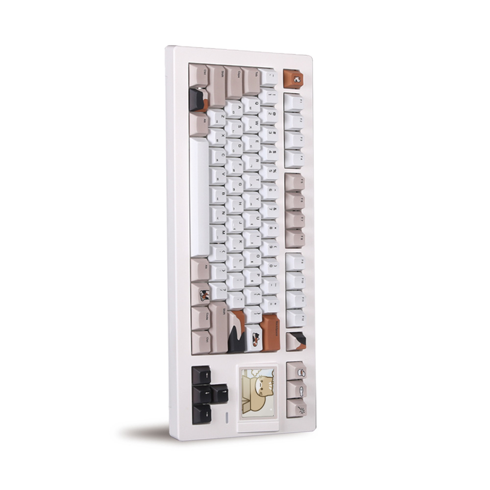 몬스타 가츠 위캣8 유무선 기계식 (삼색이)