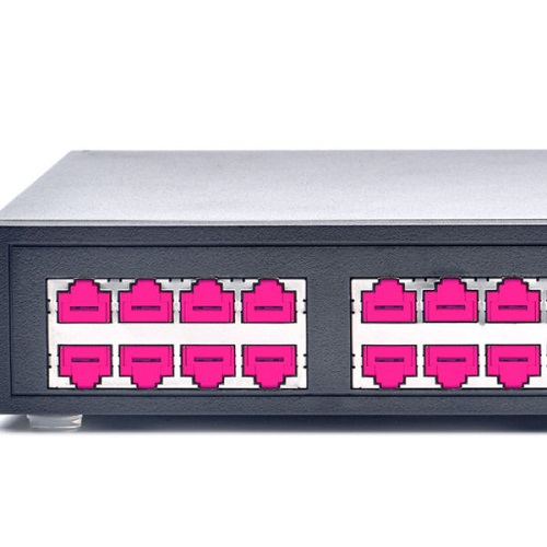 컴엑스아이 스마트키퍼 NL03P1 랜 포트락 (핑크, 12개)