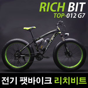리치비트 TOP-012 G7 PAS (36V, 10Ah)_이미지