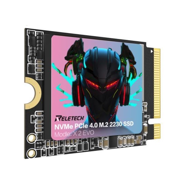 Reletech X2 EVO M.2 2230 NVMe 해외구매 (1TB)