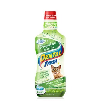 시너지랩 덴탈 후레쉬 캣 오리지널 237ml