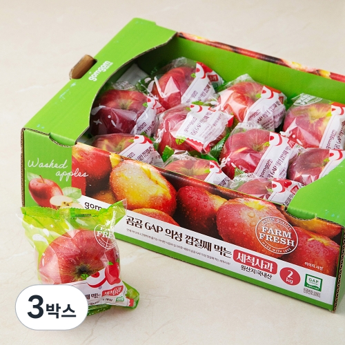 들녘지기영농조합 곰곰 GAP 의성 껍질째 먹는 세척사과 7~12과 2kg (3개)