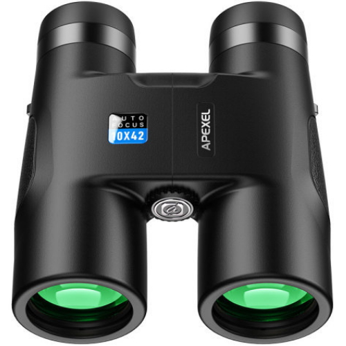 ���̸� RB10 �־Ȱ�