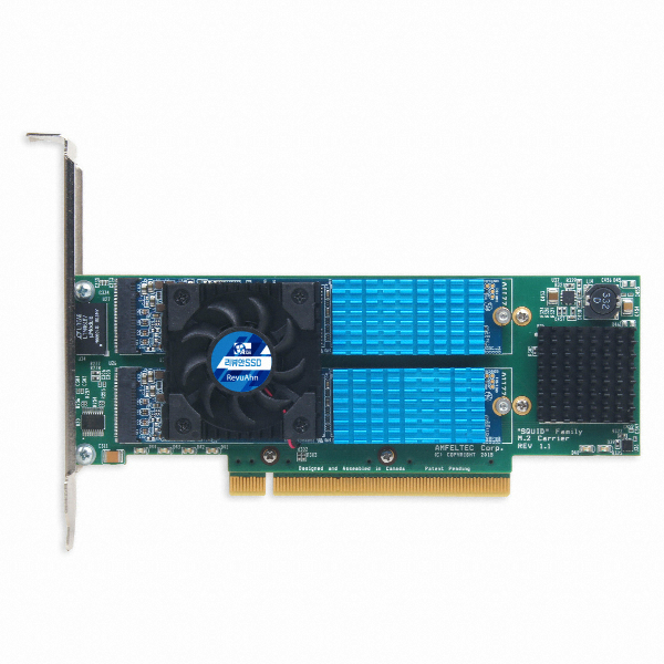 리뷰안 DX6000 PCle (4TB)_이미지