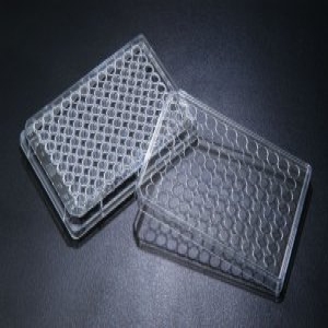 SPL Cell culture plate 96well 50EA/box 세포배양_이미지