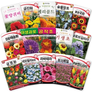 [불명] 씨앗마켓 1~2년생 꽃 씨앗 D꽃양귀비 8g (1개)_이미지