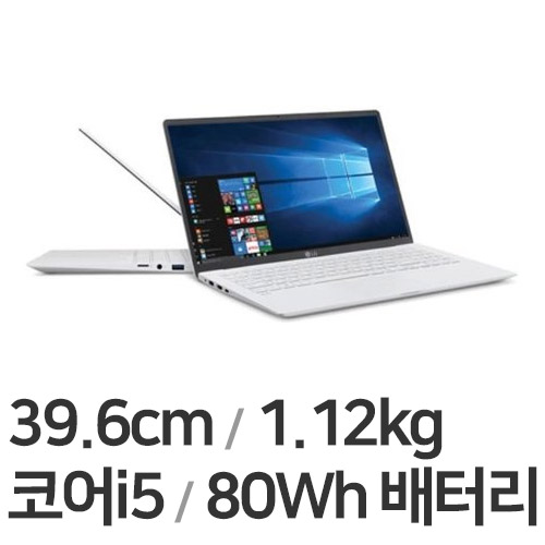 LG전자 2021 그램15 15Z95N-G.AR50K (SSD 256GB)