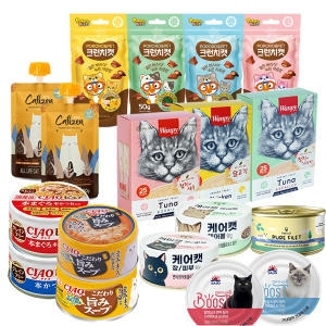 꿈쟁이 캣그라스 원형화분 밀_이미지