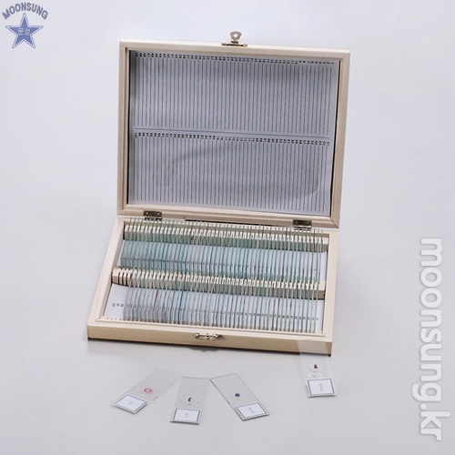 영구 프레파라트세트 식물 50종_이미지